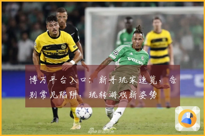 博万平台入口：新手玩家速览，告别常见陷阱，玩转游戏新姿势