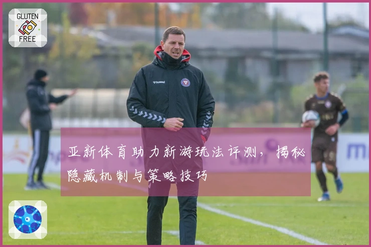 亚新体育助力新游玩法评测，揭秘隐藏机制与策略技巧